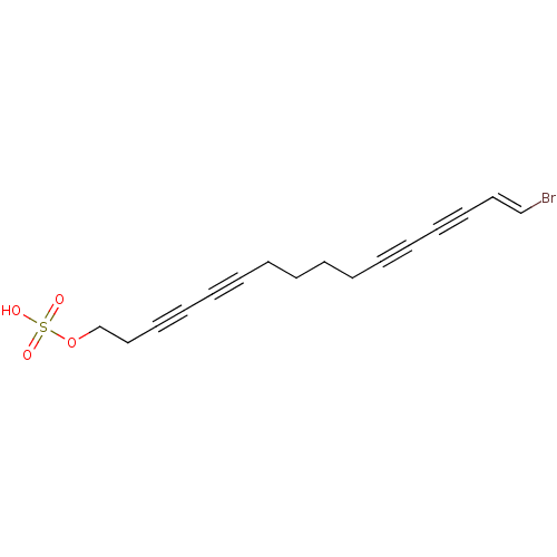 PNG