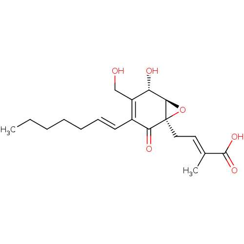 PNG