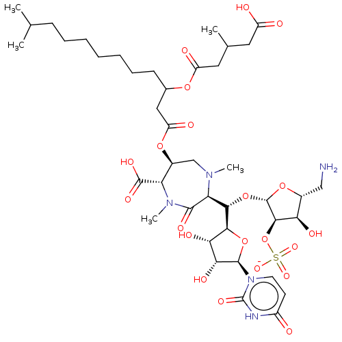 PNG