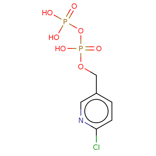 PNG