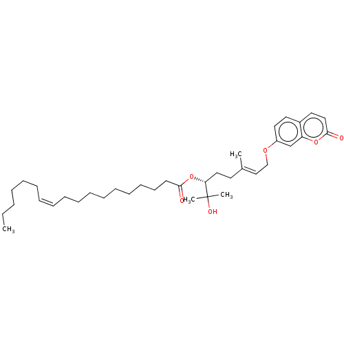 PNG