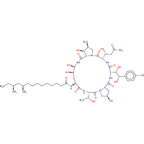 PNG