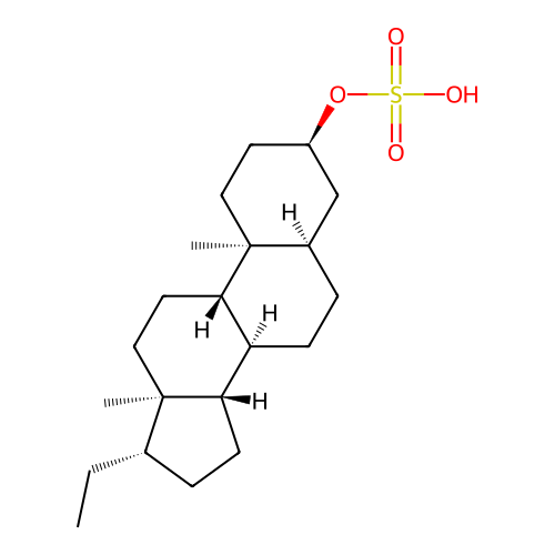 PNG