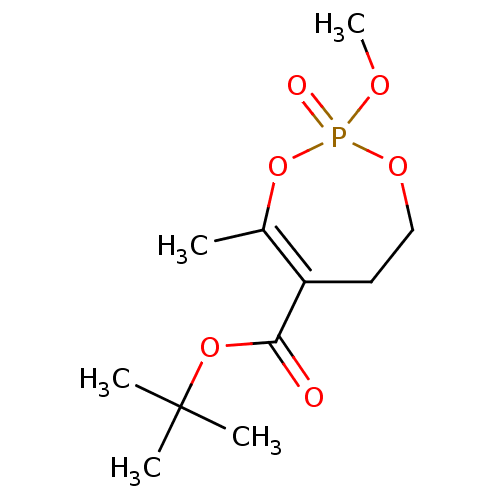 PNG