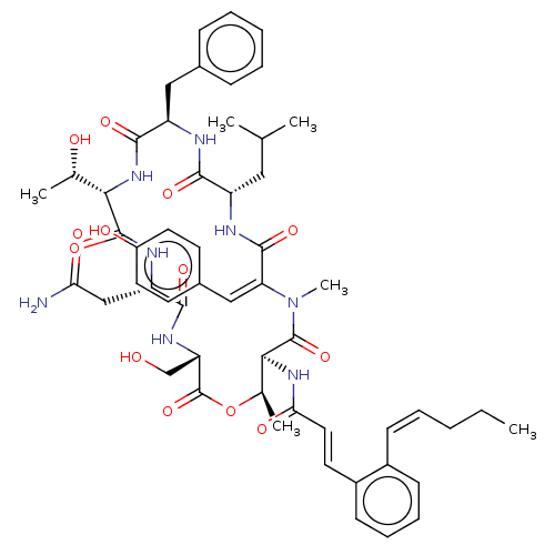 PNG