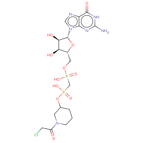 PNG