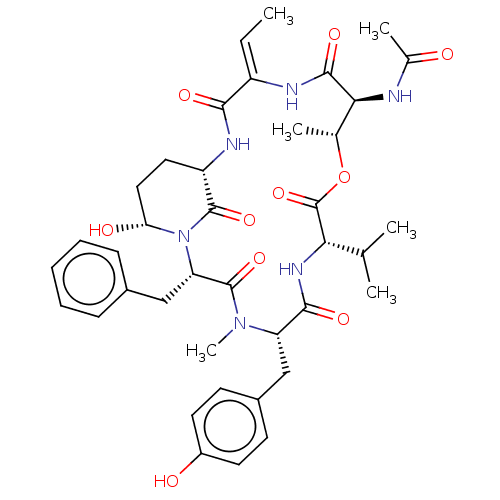PNG