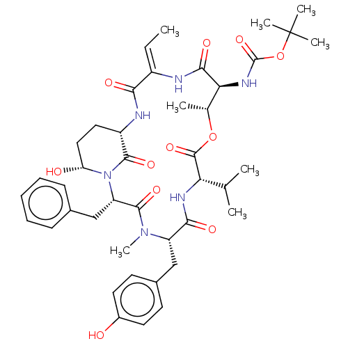 PNG