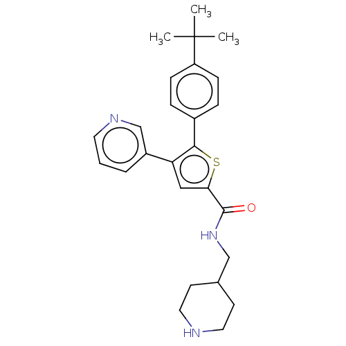 PNG
