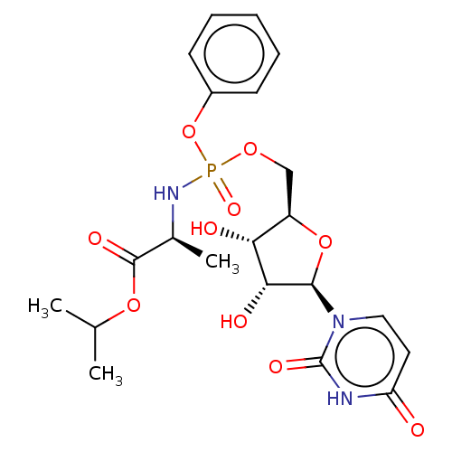 PNG