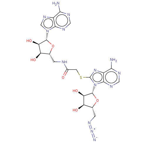 PNG