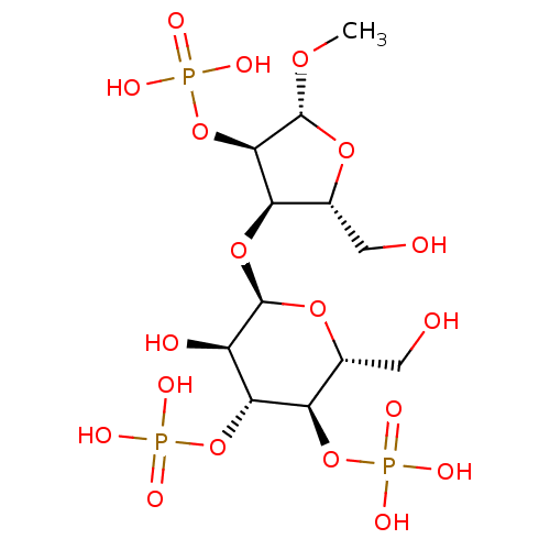 PNG