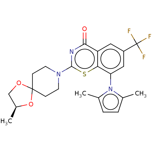 PNG