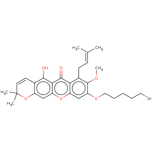 PNG