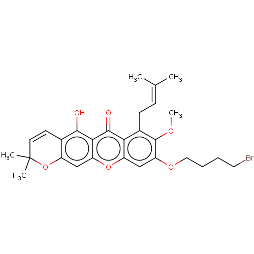 PNG