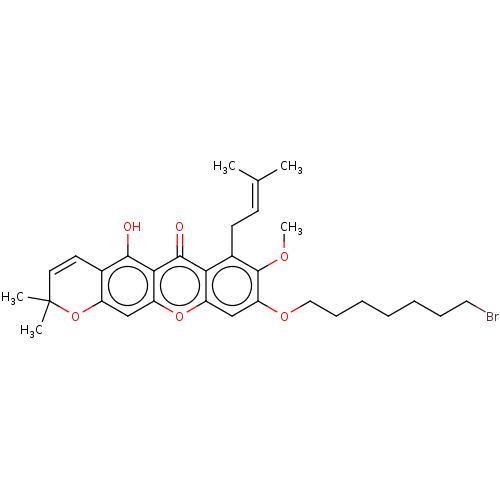 PNG