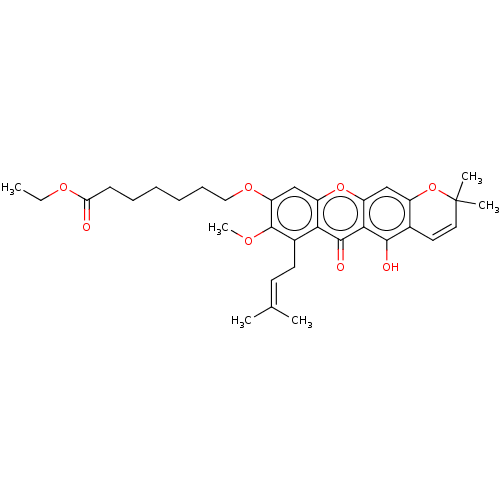 PNG