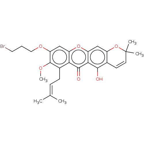 PNG