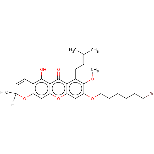 PNG