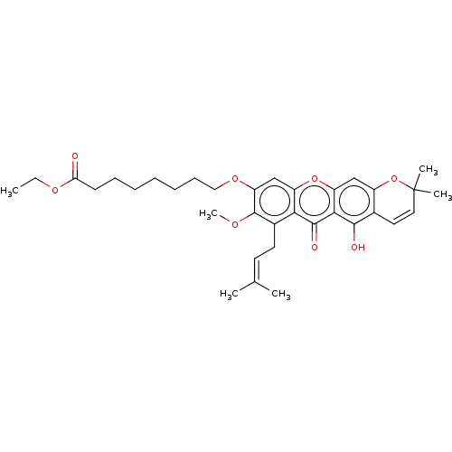 PNG
