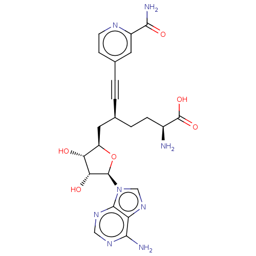 PNG