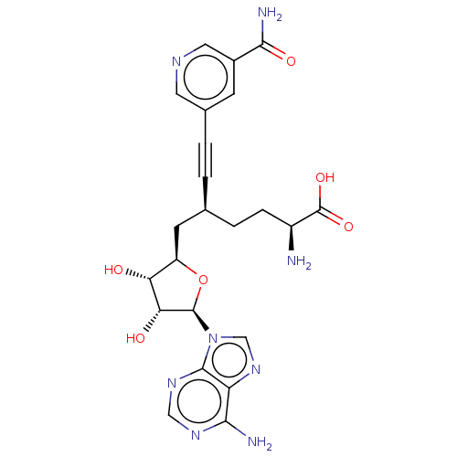 PNG