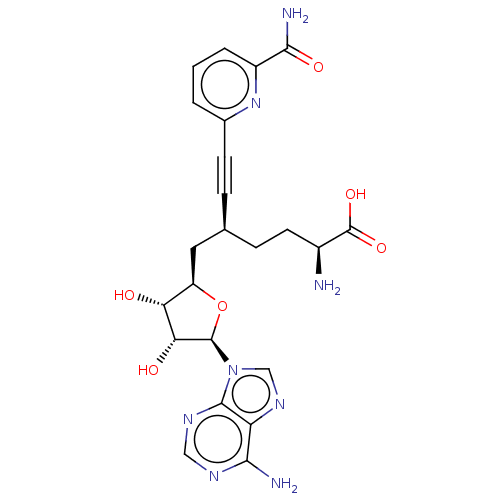 PNG