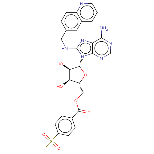 PNG