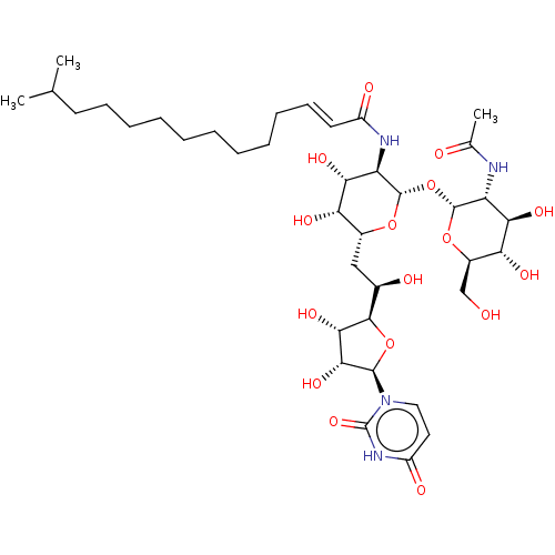 PNG