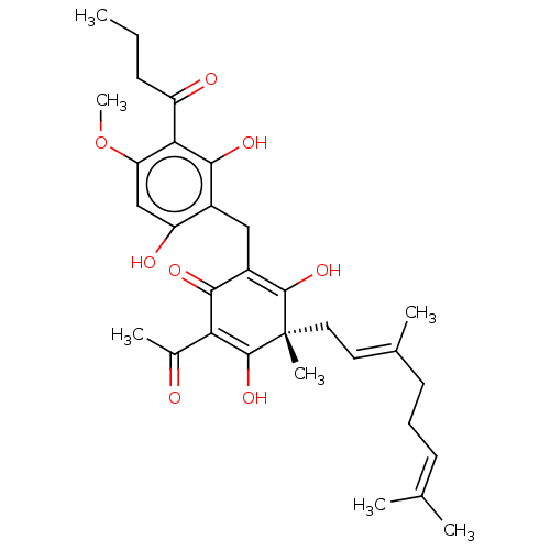 PNG