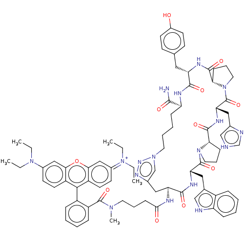 PNG