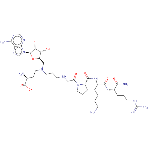 PNG