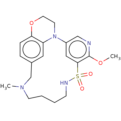 PNG