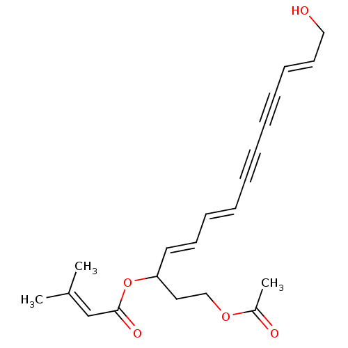 PNG