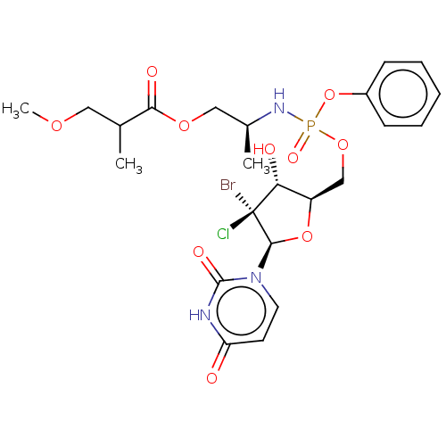 PNG