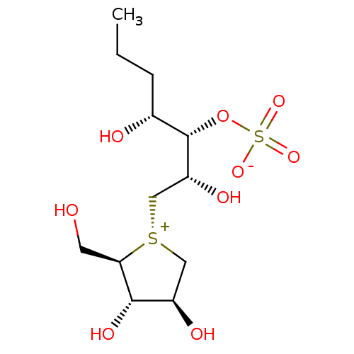 PNG