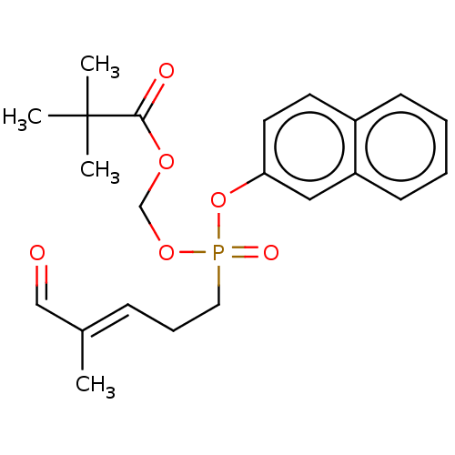 PNG