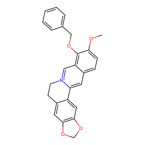 PNG