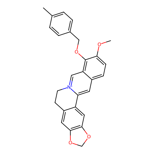 PNG