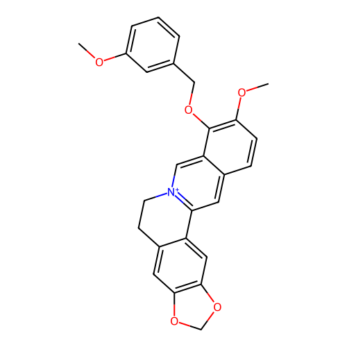 PNG