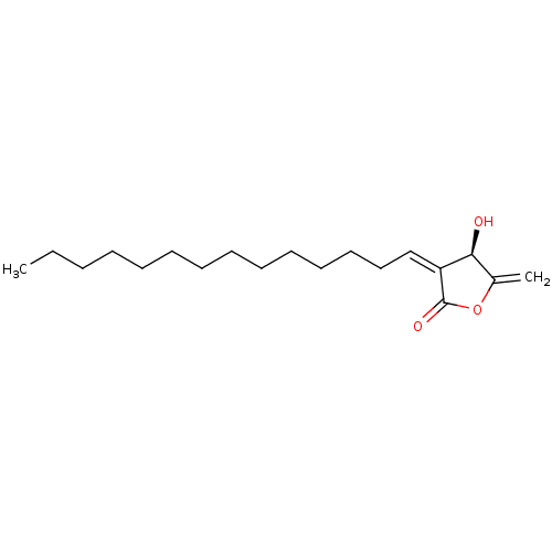 PNG