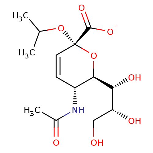 PNG