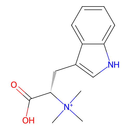 PNG