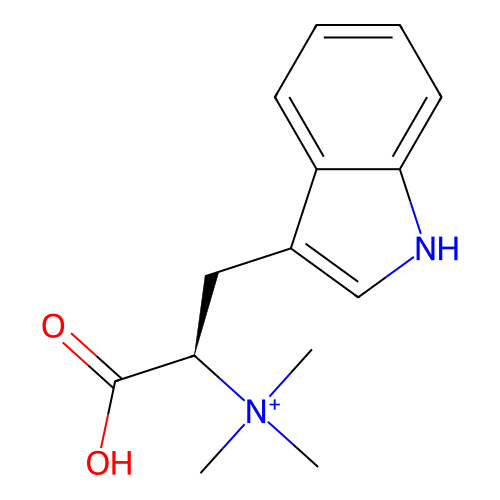 PNG