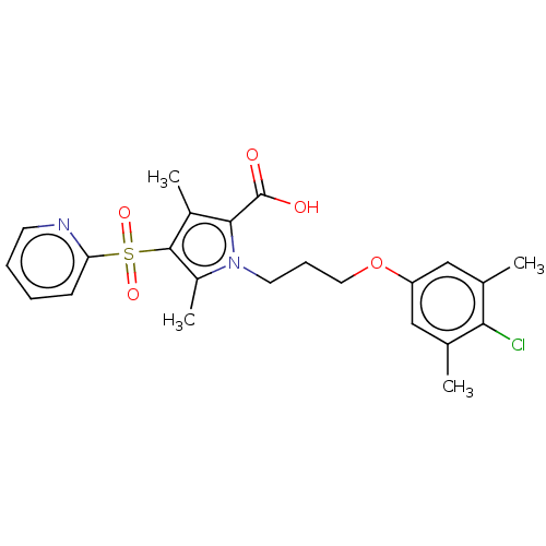 PNG
