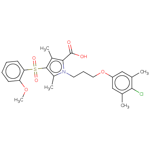 PNG