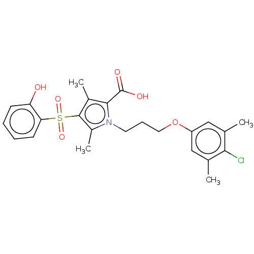PNG