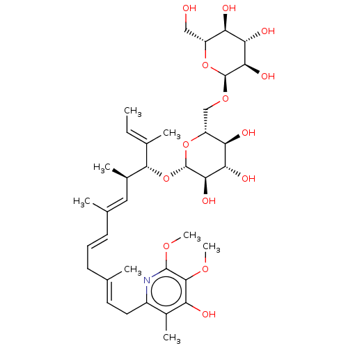 PNG