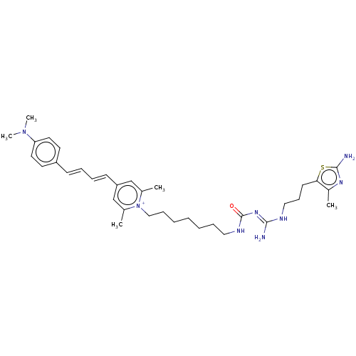 PNG