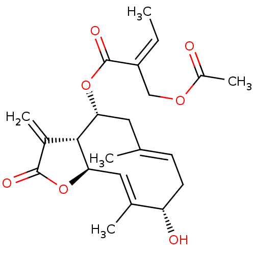 PNG